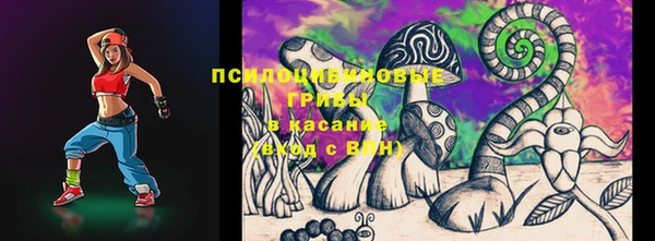 гашик Абаза